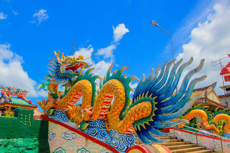 dragonのeditorial素材