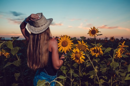 Girl in a cowboy hat in a sunflower field. Sunsetの写真素材