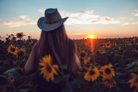 Girl in a cowboy hat in a sunflower field. Sunsetの写真素材