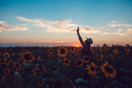 Girl in a cowboy hat lost in sunflower field catches a cellular phone. Sunset.の写真素材