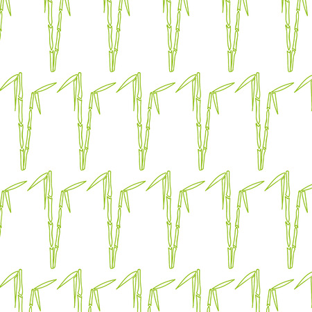 Seamless bamboo pattern for design and decoration.の写真素材
