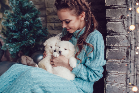 Attractive girl sits at home and with cute puppies on hands. Christmas.の写真素材