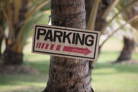 Plaque with the inscription parking on the palm.の写真素材