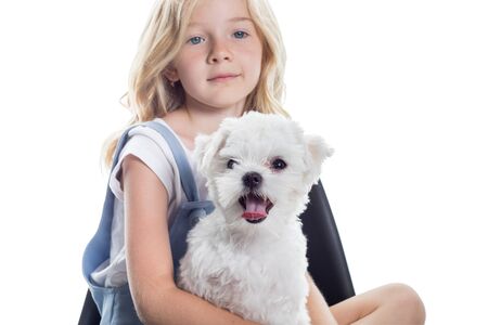 Cute little girl with funny puppy on white background.の写真素材