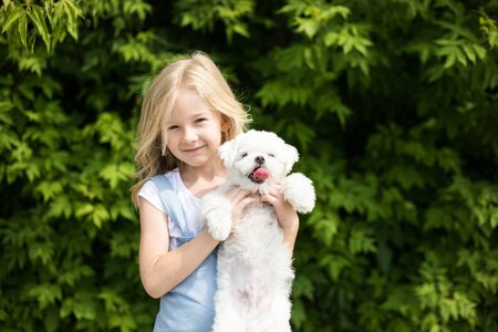 Little girl holding white puppy in her arms.の写真素材