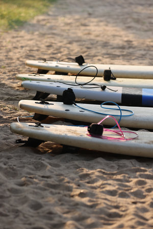 A colorful array of surfboards artistically lined up on soft sand, creating a vibrant sceneの写真素材