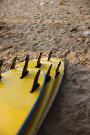 A collection of surfboards positioned on the sandy beach, all set and ready for thrilling actionの写真素材