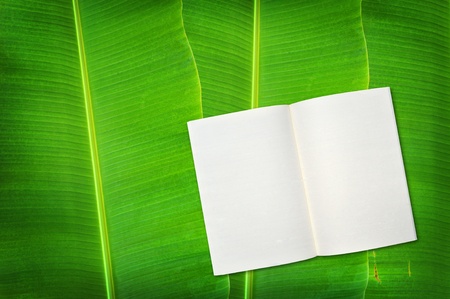 notebook on banana leaf backgroundの写真素材