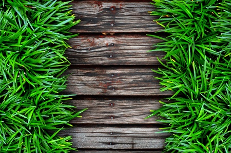 Fresh green grass on Wood backgroundの写真素材