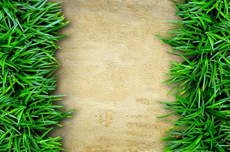 Fresh green grass on sand stone backgroundの写真素材