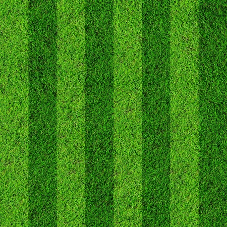 football grass fieldの写真素材