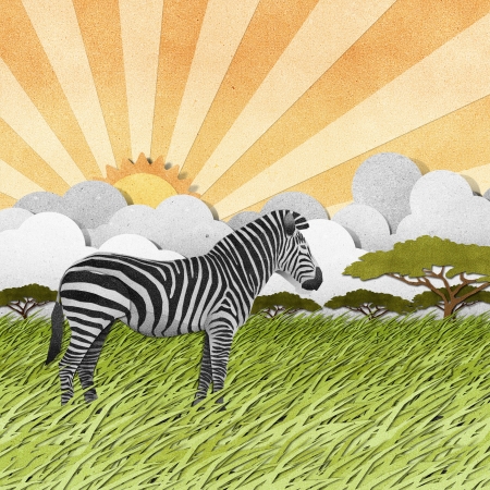 Zebra made from recycled paper backgroundの写真素材