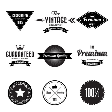 Set of  retro vintage badges and labels.のイラスト素材