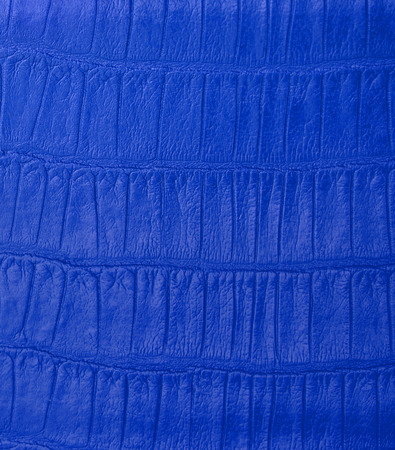 Blue crocodile skin textureの写真素材
