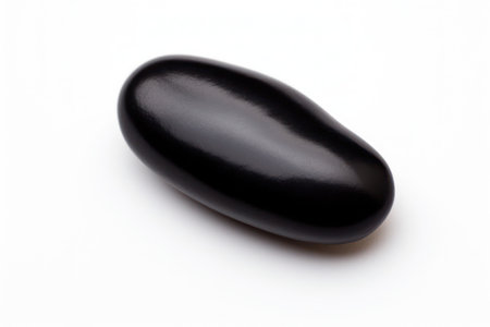 a black bean on a white backgroundの素材