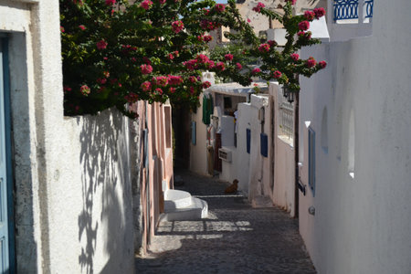 The picturesque and charming city of Oia in Santoriniの写真素材