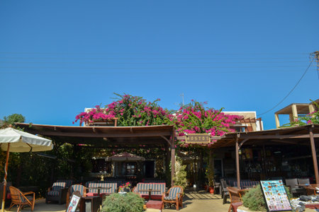 Restaurant on the beach of Kefaloniaの写真素材