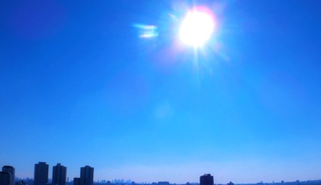 The sun which glares down.の写真素材