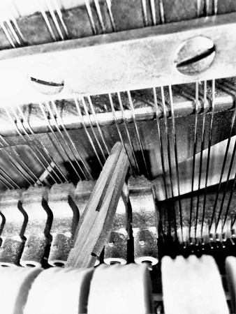 Replacing the strings of the pianoの写真素材