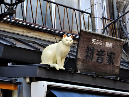 White cats with long-established shops of Yanaka Ginza monumentのeditorial素材