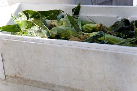 Community Market Cornの写真素材