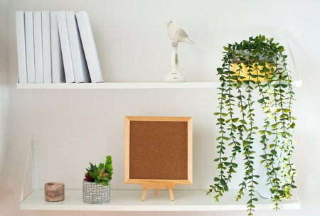 small square mock-up in wooden frame in Scandi-style interior with climbing green plant, bird, books and shelf on an empty neutral-white wall background. Home interior Scandinavian style.の写真素材