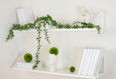 Shelf with books and climbing green plants and bird hanging on an empty neutral-white background of the wall. Home interior Scandinavian style.の写真素材