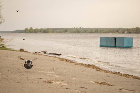 beautiful river Bank with green grass, trees, houses, landscapeの写真素材