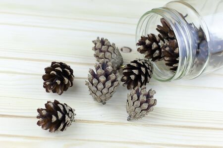 Pine cone in clear water against the background of stonesの写真素材
