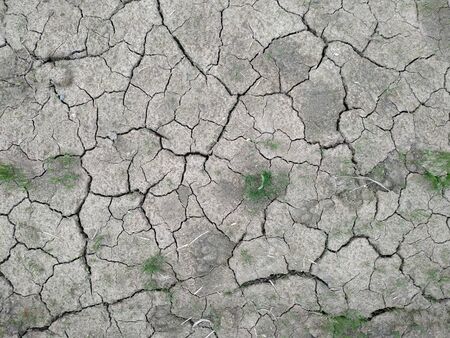 Dry soil texture on the groundの写真素材