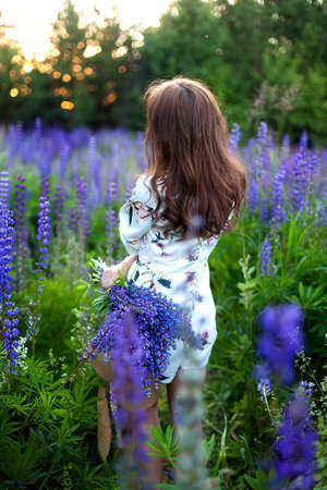 A young beautiful girl holds a purple lupine flower in a blooming field near her face. Blooming...