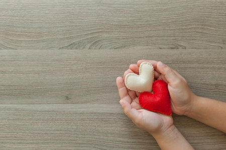 hands holding two hearts, health care, love, organ donation, CSR concept, world heart day, world health dayの写真素材