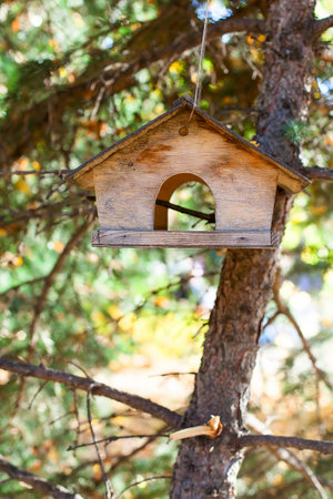 Empty bird feeder on tree near forest. Blurred background. Feeding birds. Helping animalsの写真素材
