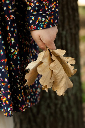 a little girl stands in a city Park and holds a cast oak tree. autumn walks.の写真素材