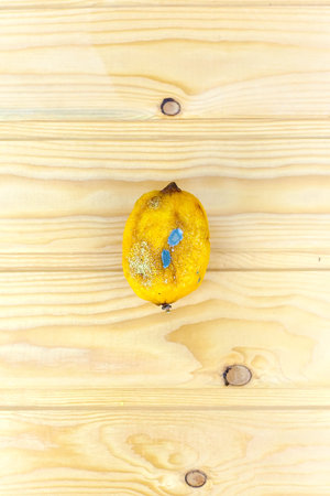 Rotten lemon on white backgroundの写真素材