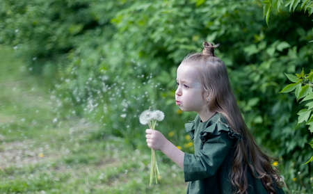 A girl blows on a bouquet of dandelions in nature in summer. Happy baby with dandelion wreath on his head with blowball having fun. Selective focus.の写真素材
