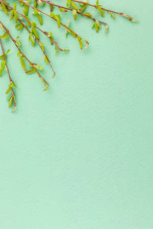 Two tree branches with green leaves at the edges on a concrete table. Old white and gray concrete...