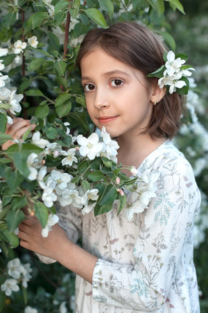 A sweet 9-year-old girl with big beautiful eyes and a light dress in blooming white apple trees. Spring walks in the blooming garden. apple blossomの写真素材