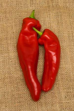 Two fresh red peppers on a bulrapの写真素材