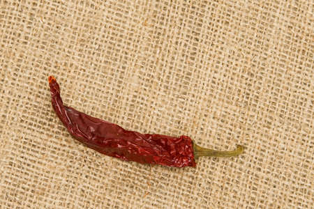 Dried little red pepper on a bulrapの写真素材