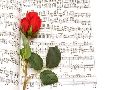 Isolated note paper and red roseの写真素材