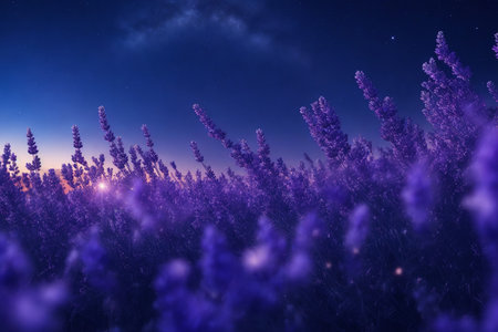 Lavender field at night with stars in the sky. 3d renderingの素材