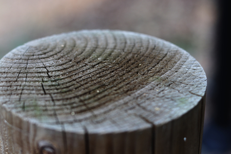 wooden poleの写真素材