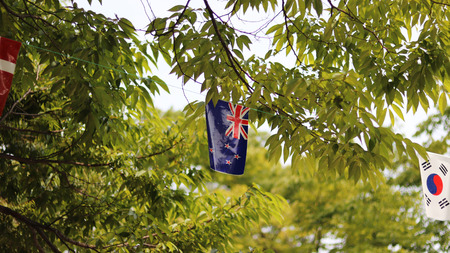 windblown flags of all nations