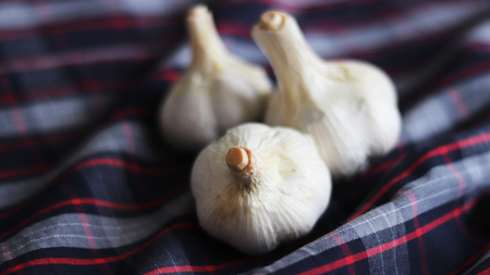 three garlic and dark backgroundの写真素材