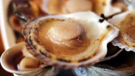 Grilled Scallops on the dinner menuの写真素材