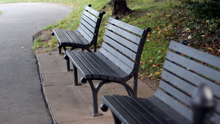 A vacant bench at park