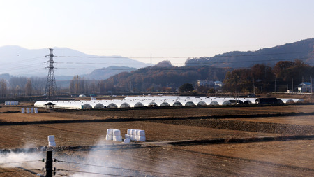 Vinyl greenhouse and rice paddyの写真素材