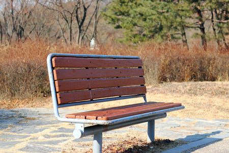 A bench in the park