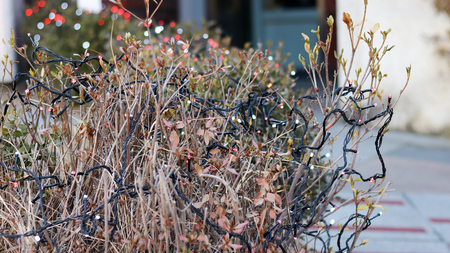 Decorations for New Year and Holidaysの写真素材